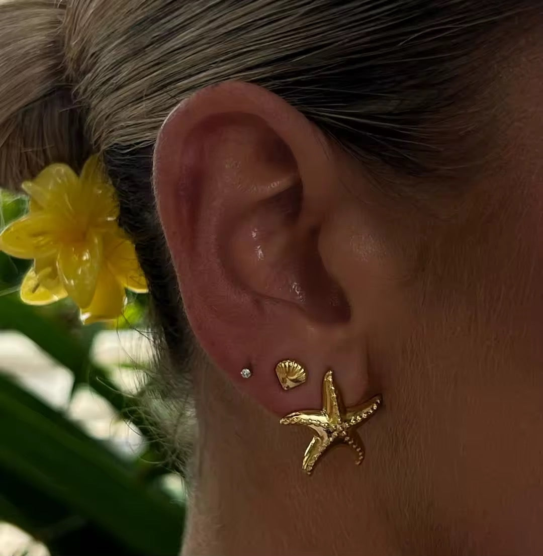 Ohrring-Set „Meereszauber“ – Seestern, Muschel & Kristall